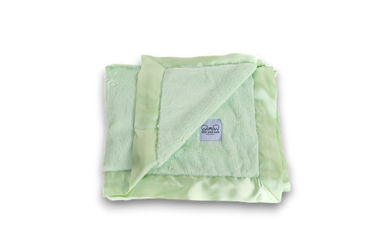 Luxury Satin Border Blanket - Mint Green
